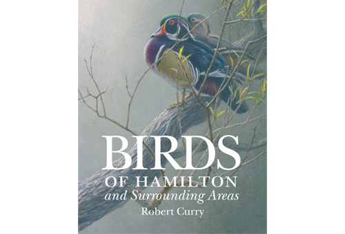 Birds of Hamilton